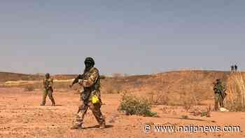 Boko Haram Terrorists Establish Two In Markets Borno – Reports - Naija News
