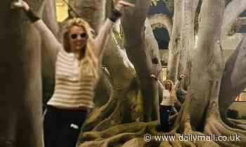 Britney Spears takes annual pilgrimage to pose in front of her favorite historic fig tree