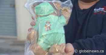 Teddy bears giving sick children comfort during Saskatchewan hospital visits