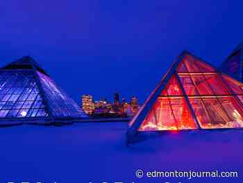 New tool keeps tabs on Edmonton services affected by COVID-19