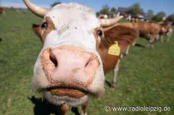 Leipzig und Dresden sollen Biolandbau ankurbeln - Radio Leipzig