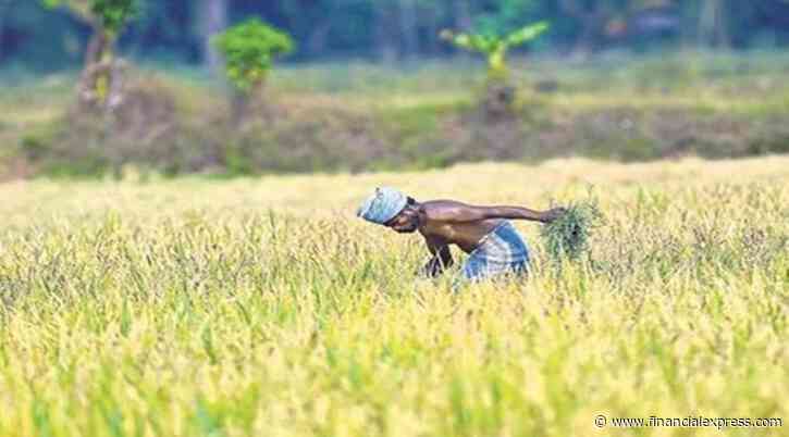 Vagaries of weather drive near 13 lakh Maha farmers to crop insurance scheme