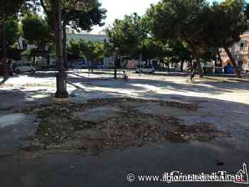 Trani, per piazza Gradenigo c'è il «progetto perfetto»: 100/100 al vincitore, ma lo conosceremo solo a fine mese - ilgiornaleditrani - Radio Bombo