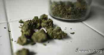 Austin voters to decide on decriminalizing small amounts of weed and banning no-knock warrants in May - KUT