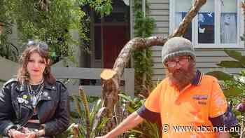 'Absolutely devastated': Daughter's tree cut down by power company