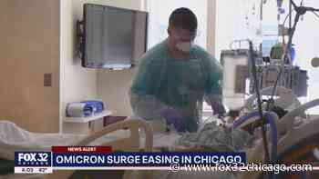 Coronavirus in Chicago: Omicron surge starting to ease, top doc says - FOX 32 Chicago