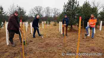 Neuer „Klimawald“: Erlanger Stadtwerke lösen ein Versprechen ein - Nordbayern.de