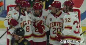 St. Albert’s hockey stars chasing NHL dreams together while in NCAA - Globalnews.ca