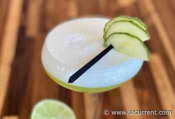 San Antonio chef Michael Sohocki's new Dash loft lounge now open - San Antonio Current
