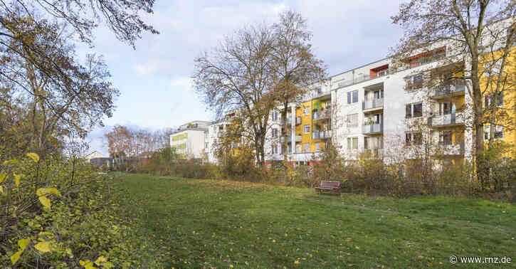 Heidelberg-Pfaffengrund:  Jetzt wird das erste "Klimawäldchen" angelegt