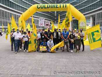 Covid, Coldiretti incontra on line gli imprenditori di Milano, Lodi e Monza. - gazzettadimilano.it