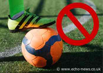 Basildon West Ham fan gets three year football match ban | Echo - Echo