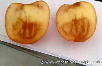 'Miracle' fruit with Allah in Arabic cut during mosque event