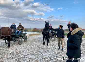 'Sant'Antun maschr i sun', così riparte il Carnevale di Putignano - Giornale di Puglia