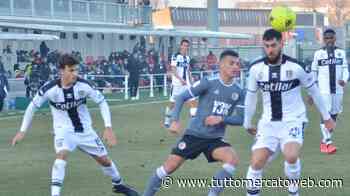 Parma, Cobbaut: "Per la A dobbiamo crederci. Futuro? Non è tutto nelle mie mani" - TUTTO mercato WEB