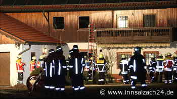 Christbaum geht in Flammen auf: Frau (52) schwer verletzt