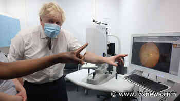 Boris Johnson denies lying about lockdown parties amid COVID pandemic