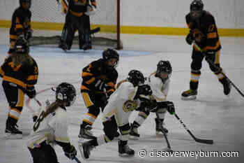 Busy Weekend of Minor Hockey Action in Weyburn - DiscoverWeyburn.com