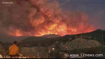 U.S. Forest Service launches wildfire mitigation program in Arizona - 12news.com KPNX