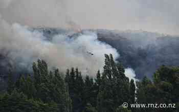 Mature lowland forest lost in Wānaka fire - DOC - RNZ