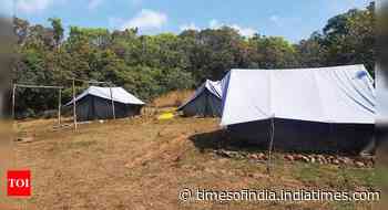 Private forest at Vagheri being cleared for unauthorised project - Times of India