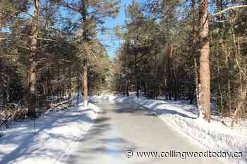 Simcoe County's forest path skate trail open for season - CollingwoodToday.ca
