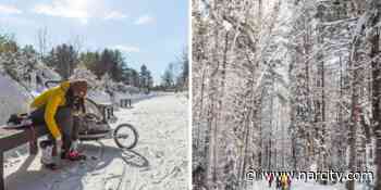This Ontario Skating Trail Will Let You Glide Through A Magical Forest For Free - Narcity Canada