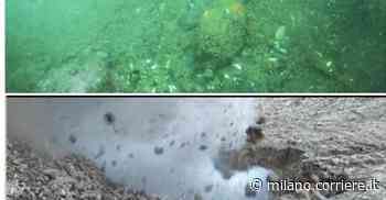 Lecco, la bomba trovata in fondo al lago è stata fatta scoppiare nella cava del Moregallo - Corriere della Sera