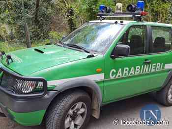 Accorpamento Carabinieri Forestali Como-Lecco, la Lega chiede spiegazioni - Lecco Notizie