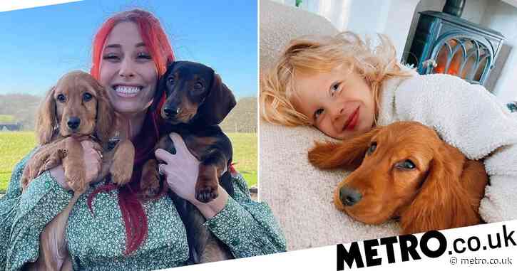 Stacey Solomon reveals sweet hidden tribute to late dog Theo as she adopts new puppy