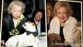 'Betty White Challenge' raises $70000 for Ottawa Humane Society - CTV News Ottawa