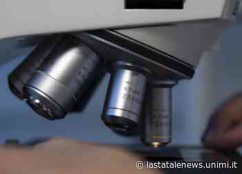 Tumori: il "DNA spazzatura" è in grado di attivare la risposta immunitaria dei linfociti T | La Statale News - La Statale News