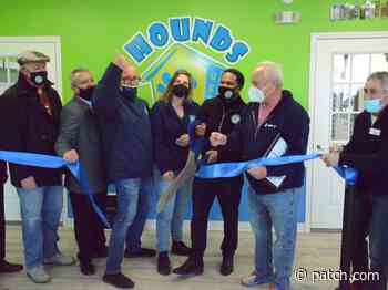 New Aurora Dog Daycare Opens In Former McDonalds Building - Aurora, IL Patch