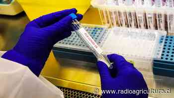 Dinamarca registra por primera vez más de 30.000 casos diarios de coronavirus - Radio Agricultura