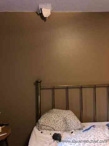 Scientists study trajectory of meteorite that landed in B.C. in October - Squamish Chief