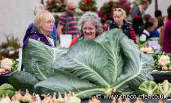 Dundee Flower and Food Festival cancelled for third year in a row - The Courier