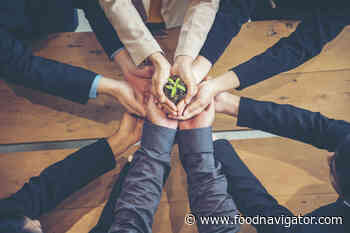 The rise of the 'conscious consumer' to drive future food trends: Innova - FoodNavigator.com