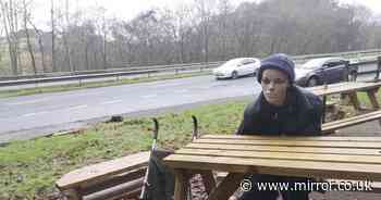 The haunting figure of mum and pram that stops traffic at food truck near busy motorway - The Mirror