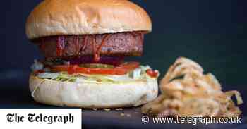 Why vegan meat substitutes are the worst junk food of all - The Telegraph