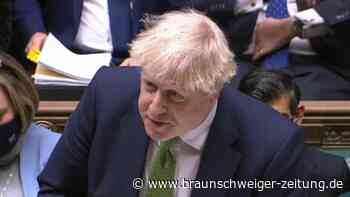Premier Johnson wehrt sich gegen "Schweinepasteten-Putsch"
