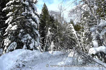 Out There: Surviving a Hard Winter - Creston Valley Advance