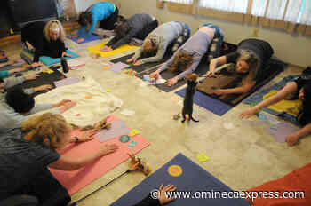 BC reopening gyms, fitness on Thursday with COVID-19 precautions – Vanderhoof Omineca Express - Omineca Express