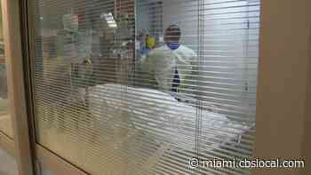 Miami-Dade Seeing COVID Rates 5 Times Higher Than Summer Delta Surge - CBS Miami