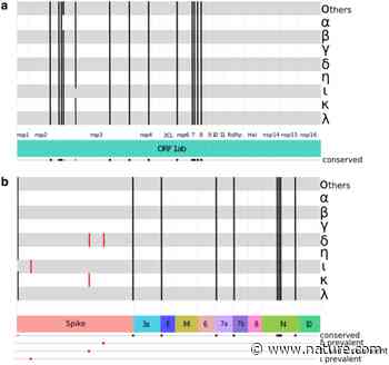 Two short low complexity regions (LCRs) are hallmark sequences of the Delta SARS-CoV-2 variant spike protein | Scientific Reports - Nature.com