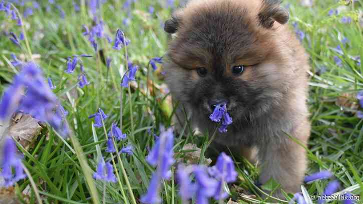 Wochenrückblick KW2: Viel EU, viel Polizei und ein bisschen weniger Hass