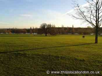Bexley Council rejects proposal for Danson Park music event