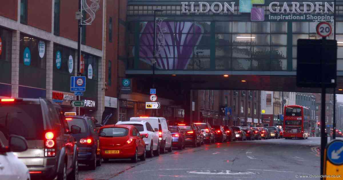 Pensioner barged into path of oncoming double decker bus  