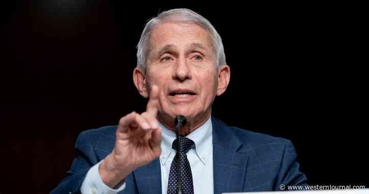 Fauci's $10M 2020 Investment Portfolio Includes Chinese Company Considered National Risk to US: Report