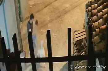 Viralizan vídeo de una terrible agresión a un perro en Asunción - ABC Color
