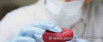 [BALADO] Le point sur la viande de culture